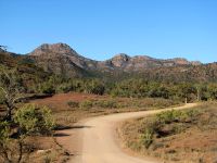 tree and rocky ranges