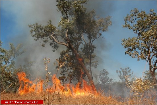 Bushfires in Australia - Australian climate and bushfire facts