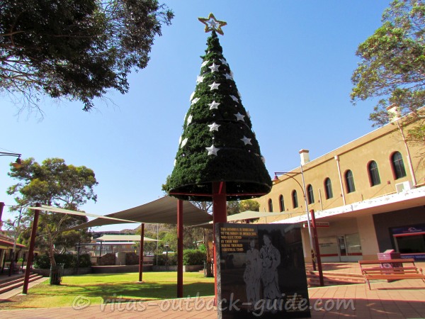 Large Christmas tree at the town square behind the women's memorial